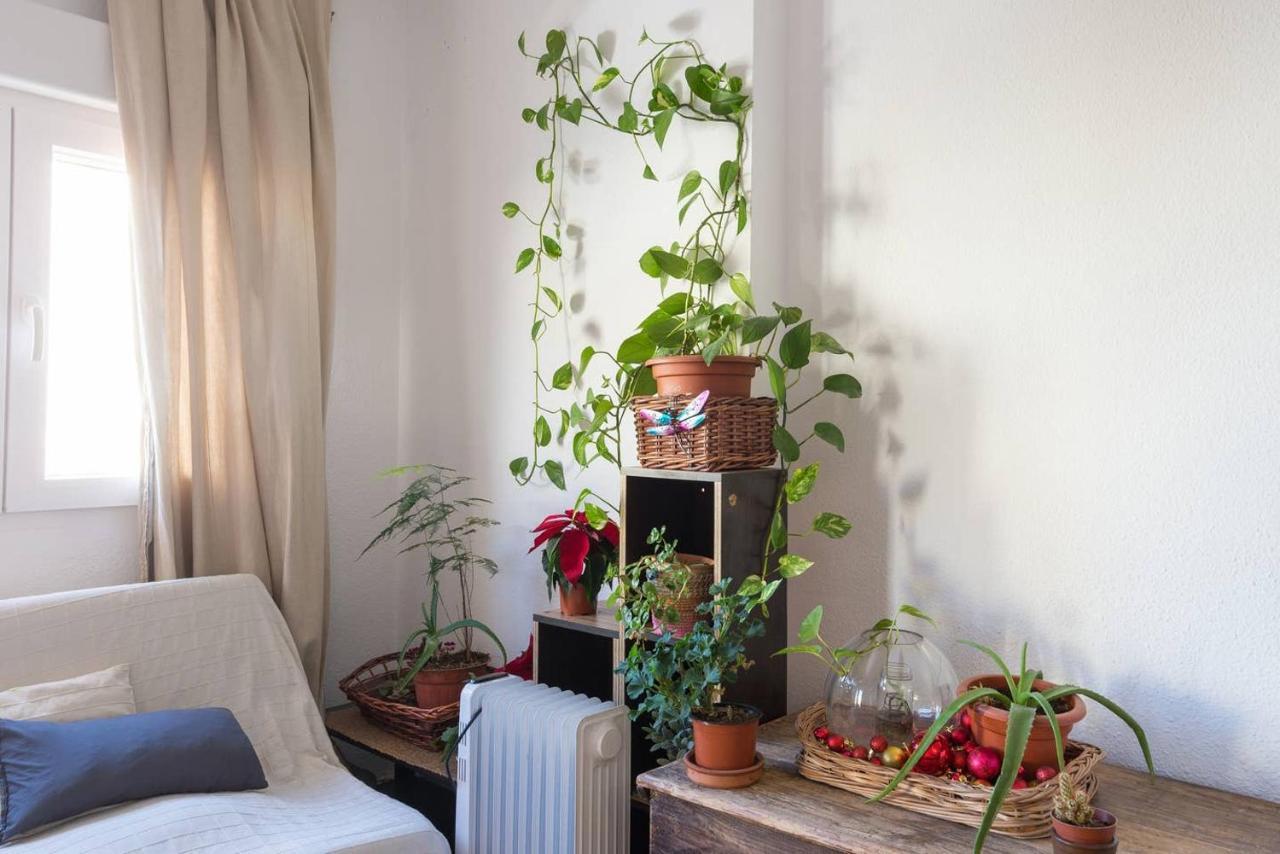 Accommodatie bij particulieren House Fata